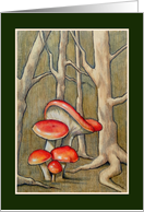 Any Occasion Blank Inside Mushrooms in the Forest Color Pencil Art card