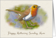 Happy Mothering Sunday Mum with Artwork of Robin Bird Springtime card