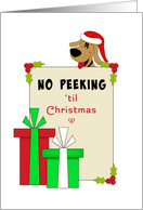 No Peeking Christmas...