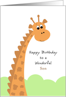 Giraffe Birthday...