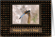 Dragonfly, Father's...