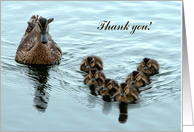 Thank you, Duck...