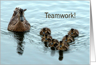 Teamwork, Duck...