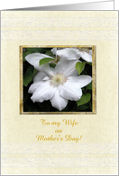 Mother's Day, White...