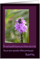 Purple Flowers/For...