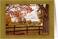 Horse Farm, Autumn...