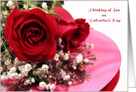 Valentine Roses,...