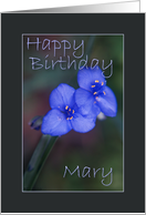 Happy Birthday Mary