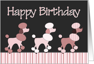 Pink Poodle Birthday...