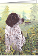 German Shorthaired...