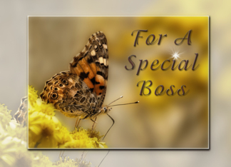 For a Special Boss,...