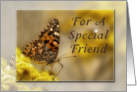 For a Special Friend, Butterfly card
