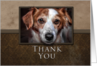 Thank You, Dog with...