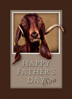 Happy Father`s Day...