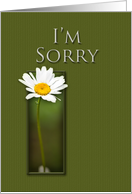 I’m Sorry, White Daisy on Green Background card