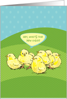 New Chick Pet Congratulations card