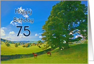 75th Birthday,...
