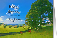 Neighbor Birthday,...