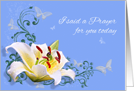 Lily Flower Prayer