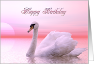 Birthday Swan