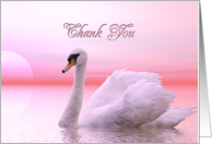 Thank You Pink Swan