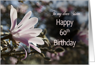 60th Birthday,...
