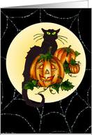 Black Cat Pumpkin...
