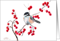 Chickadee & Red...