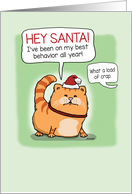 Cat Lies to Santa...