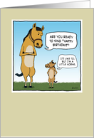 Little Horse birthday card