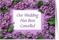 Apologies For Cancelled Wedding With Purple Flowers card