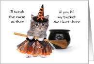 Kitty Witches Spell...