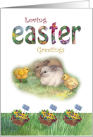 Hoppy Easter Bunny &...