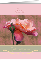 Sister Get well soon...