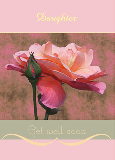 Get well soon Roses...