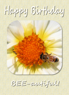 Bee Birthday