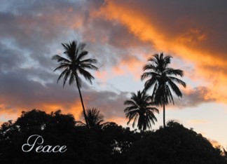 Peace - get well...