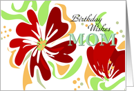 Birthday Wishes Mom...