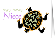 Birthday Turtle...