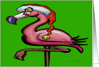 Flamingo Christmas...