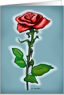 Single Red Rose,...