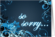so sorry...
