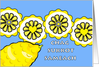 Chag Sukkot Sameach with Whole Etrog and Slices card