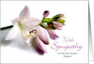 Mother Sympathy with...