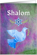 Shalom for Pesach...
