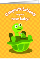 turtle new baby...