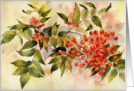 Rowan Berries