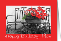Birthday, Mom, bench...