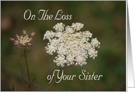 Loss of Sister,...
