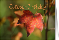 October Birthday,...